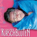 Kirschblüten Kirschblüten